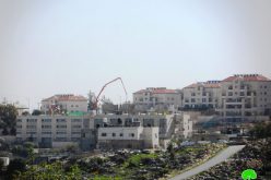 Israeli colonists establish new outpost east Hebron Governorate