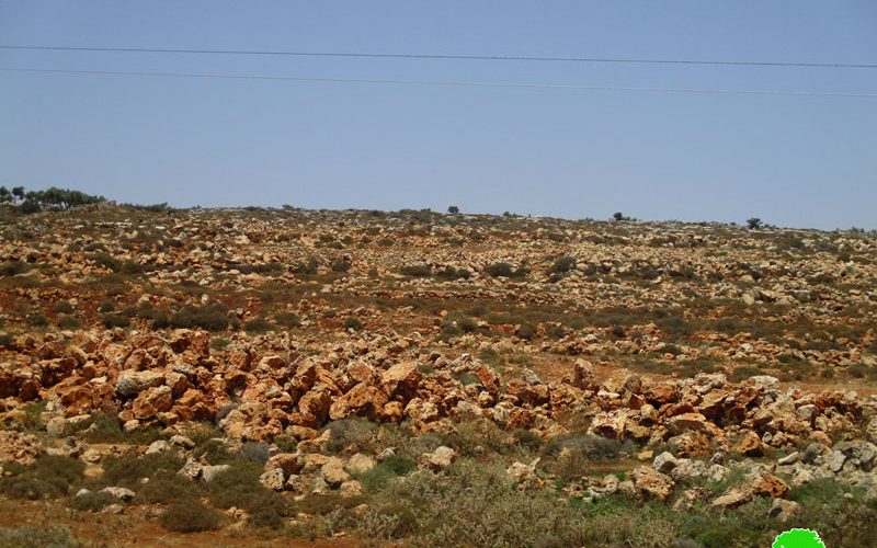 جيش الاحتلال يمنع تأهيل أراضي زراعية و يصادر جرافة بقرية صير محافظة قلقيلية