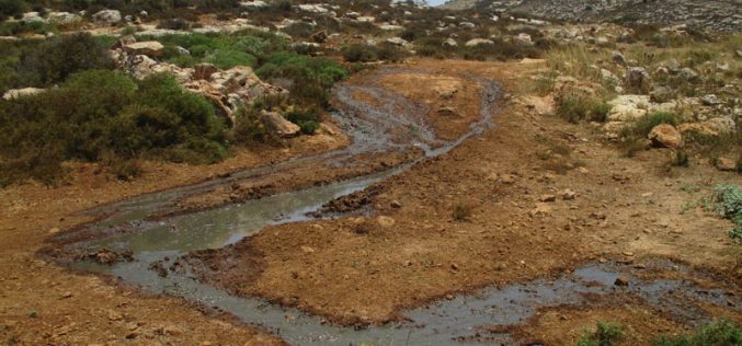 مستعمرة  عمنحاي خطر يهدد الزراعة و البيئة الفلسطينية في بلدة ترمسعيا