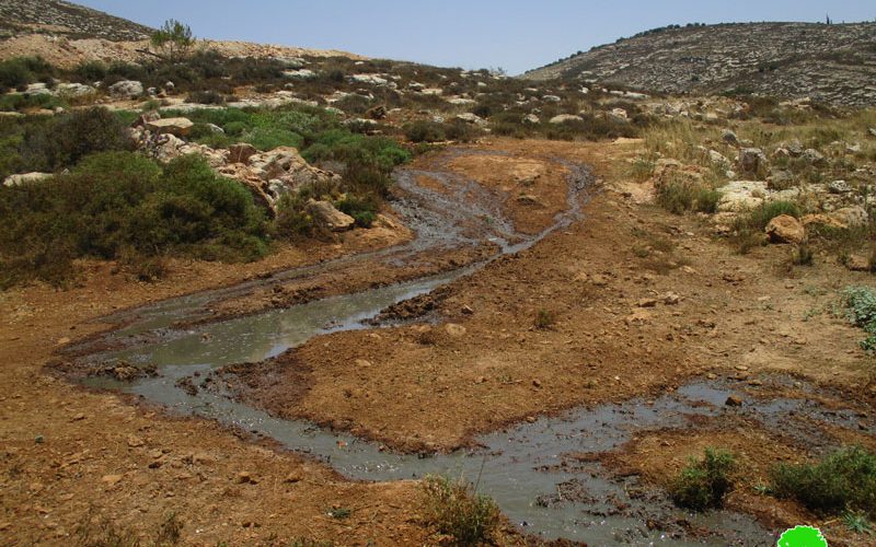 مستعمرة  عمنحاي خطر يهدد الزراعة و البيئة الفلسطينية في بلدة ترمسعيا