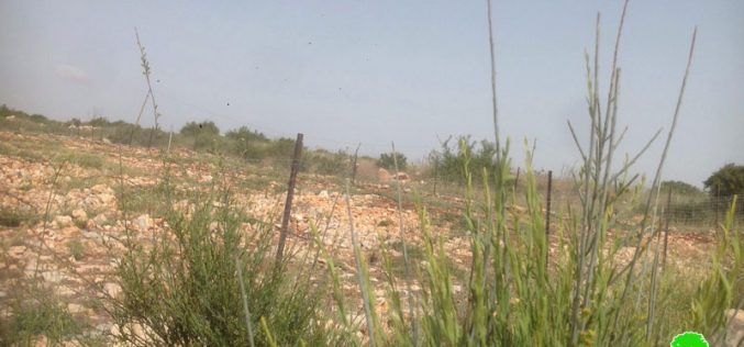 تجريف مساحات واسعة من الأراضي الزراعية لصالح توسعة مستعمرة بروخين  محافظة سلفيت