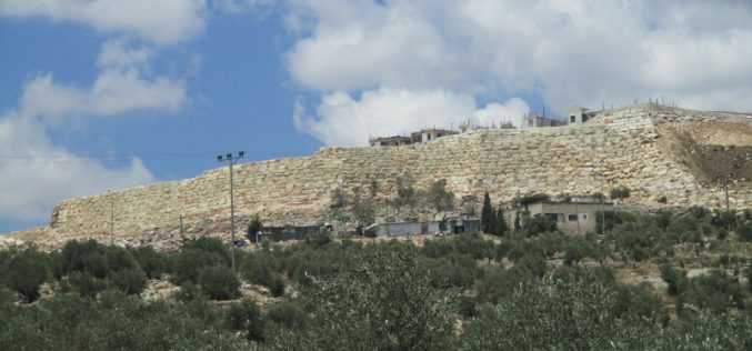 Israeli Dozers Ravage Hundreds of Trees for Settlement Expansion Purposes