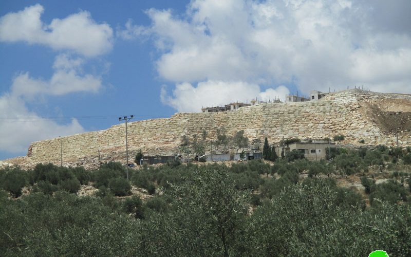 Israeli Dozers Ravage Hundreds of Trees for Settlement Expansion Purposes