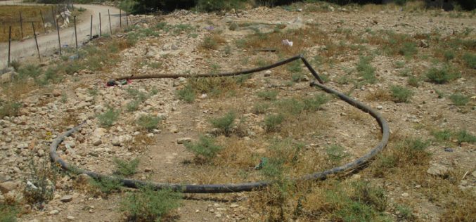 ردم فتحات مائية ومصادرة خطوط المياه للمرة الثانية في قرية بردلة / محافظة طوباس
