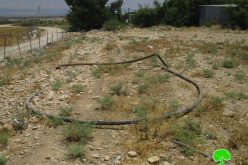 ردم فتحات مائية ومصادرة خطوط المياه للمرة الثانية في قرية بردلة / محافظة طوباس