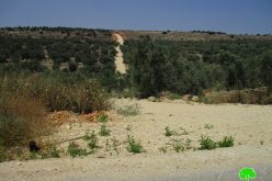 Israel’s Occupation Forces halt rehabilitation works on agricultural land and road in ‘Azzun-Qalqilya governorate