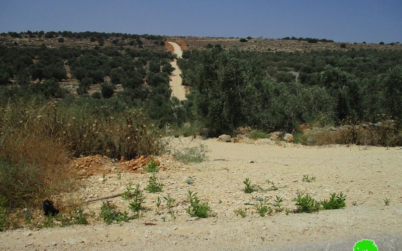 Israel’s Occupation Forces halt rehabilitation works on agricultural land and road in ‘Azzun-Qalqilya governorate