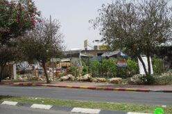 The Israeli occupation forces serve a demolishing order on a plants nursery in An-Nabi Elyas village / Qalqilya governorate
