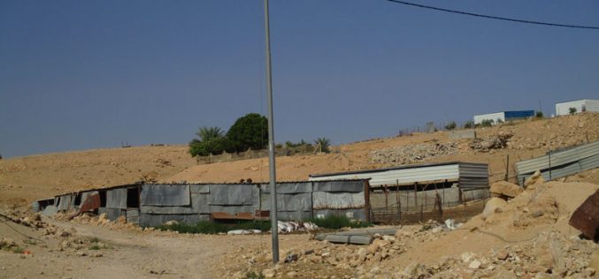 Stop work orders on four residences in Arab Az-Zayid Bedouin community- An Nuwei’ma / Jericho.