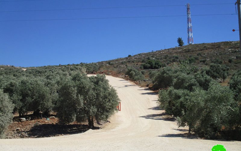 New Bypass road in Salfit governorate