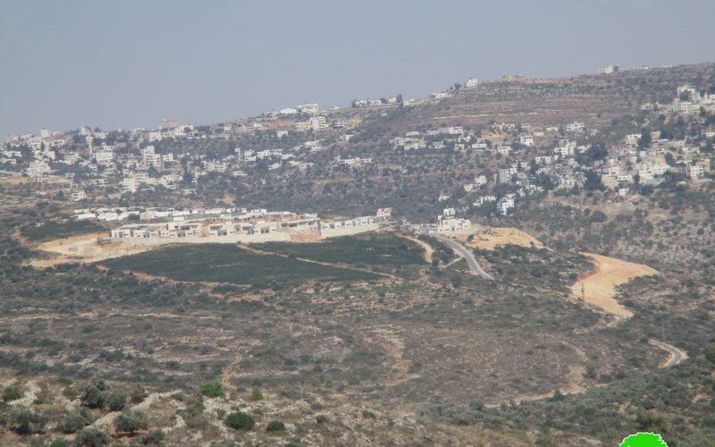 Expanding colonial outpost “Zeit Ra’anan” East Beitillu