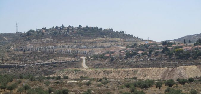 Expanding “Kedumim east” settlement / Qalqilya governorate