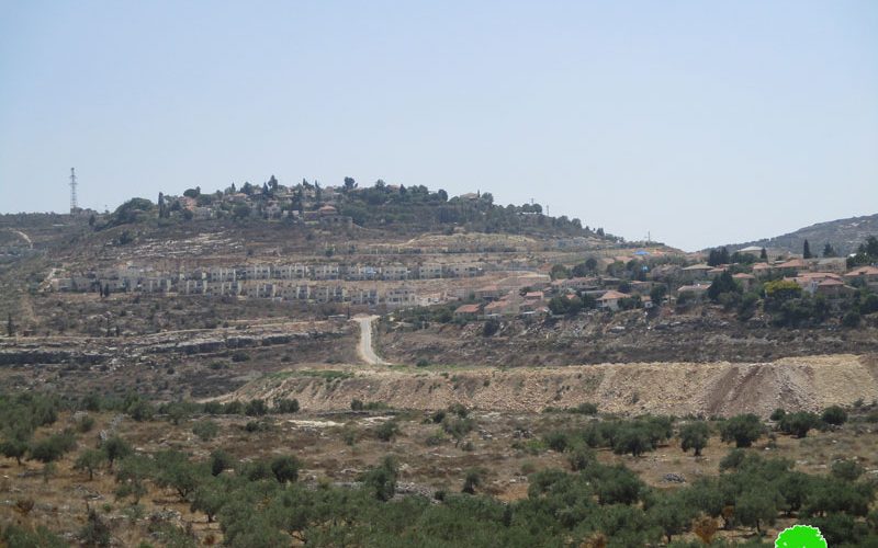 Expanding “Kedumim east” settlement / Qalqilya governorate