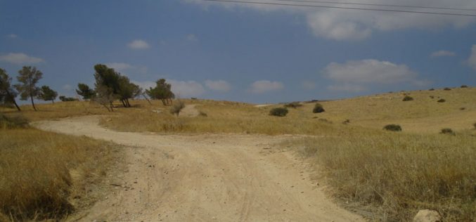 New colonial road in Khallet Hamd/ Tubas Governorate
