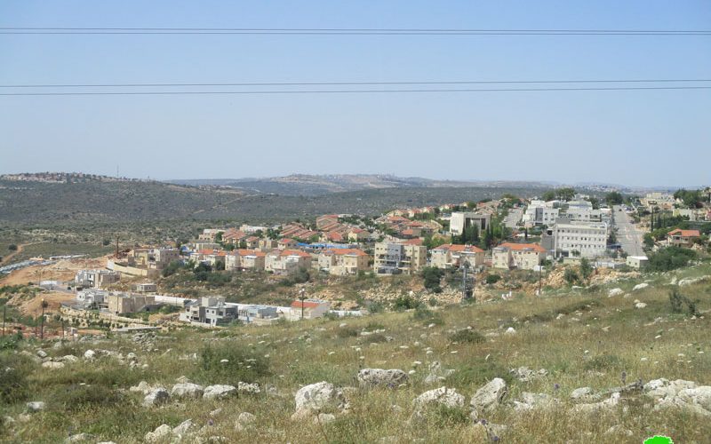 New colonial activity in Revava settlement/ Salfit governorate