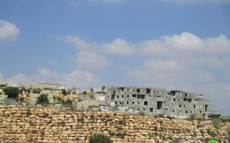 Expanding “Alei Zahav” settlement – Kafe Ad-Dik –Salfit