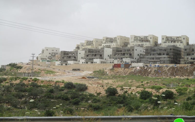 Expanding “Leshem” settlement / Salfit governorate