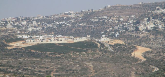 Expanding colonial outpost “Zeit Ra’anan” East Beitillu