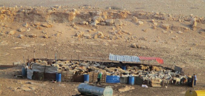 الاحتلال  يصادر خيم وبركسات في خربة الحديدية / طوباس