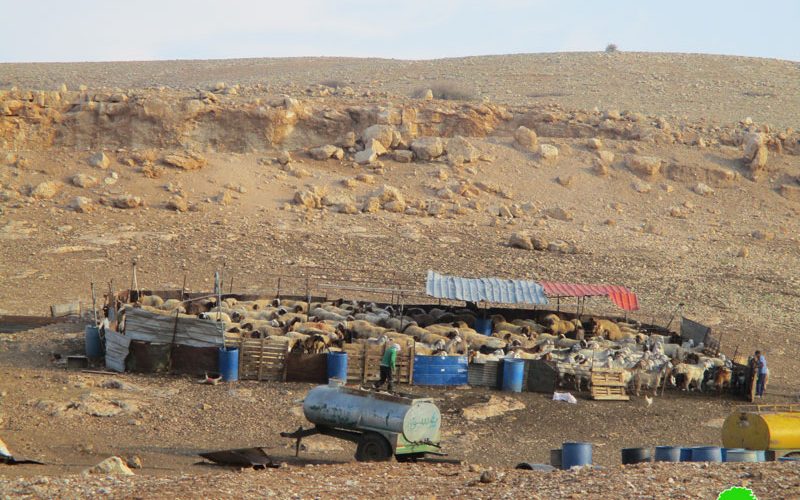 The Israeli occupation confiscated tents and barracks in Al-Hadidiya/ Tubas Governorate