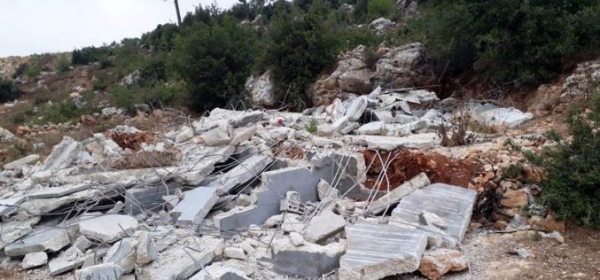 Ravaging 12 graves in Al-‘Arrub Camp north Hebron