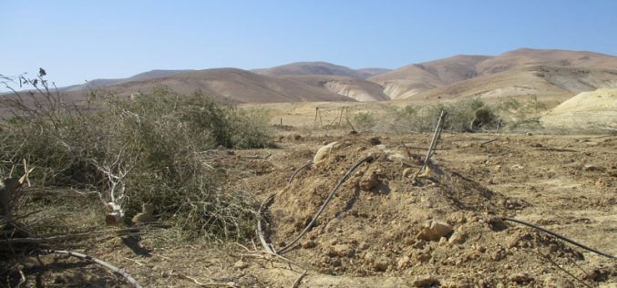Lands ravaging and trees uprooting in The Jericho village of Fasyel