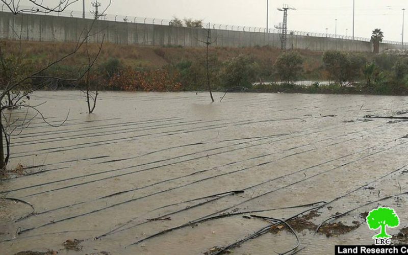 The apartheid wall floods agricultural lands /Tulkarim city