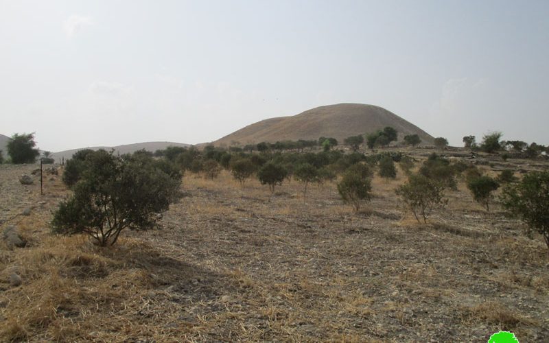 Serving a military order to evict 16 Dunums in Ibziq Hamlet/ Tubas governorate