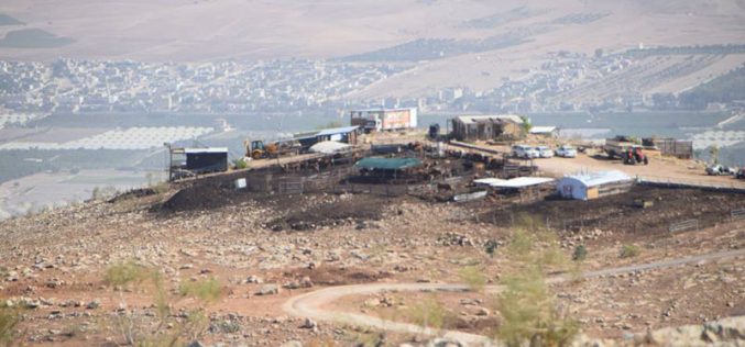 Settlers take over tens of agricultural dunums from As-Suwaid a and Al-Mozokah / Tubas governorate