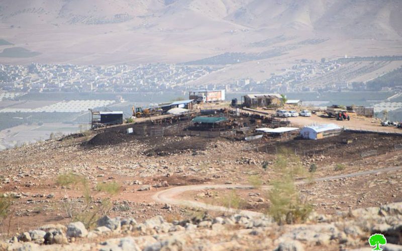 Settlers take over tens of agricultural dunums from As-Suwaid a and Al-Mozokah / Tubas governorate