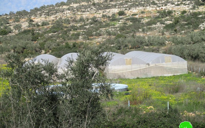 إخطار بوقف العمل في مزرعة من الزراعات المحمية في قرية عزون عتمة  شرق قلقيلية