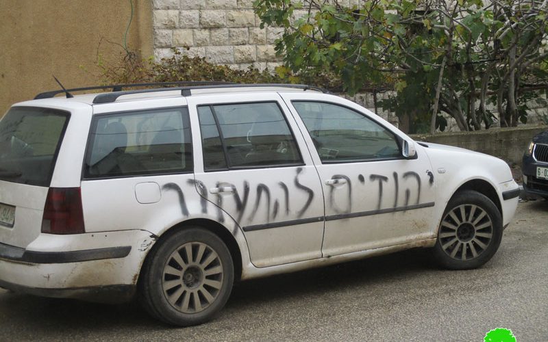 Another settler’s gang crime in Yasuf