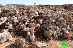 Ravaging lands in Jabal As-Suroj South Hebron