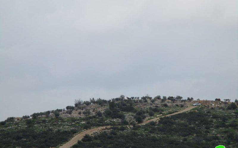 The Israeli occupation halt work on an agricultural road in Deir Ballut town / Salfit governorate