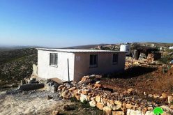 Issuing a Halt of Work order on a residential room in Khallet Ad-Dabe’a – East Yatta / Hebron governorate