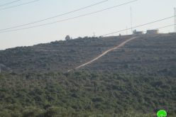 قلع عشرات أشجار الزيتون للشروع بشق طريق استعماري على حساب الأراضي الزراعية في قرية جينصافوط / محافظة قلقيلية