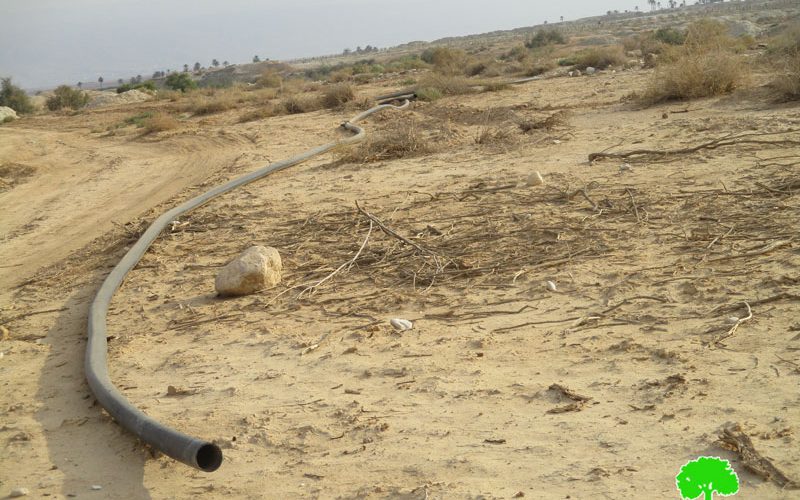 Uprooting 125 palm plants and destroying water lines / Jericho