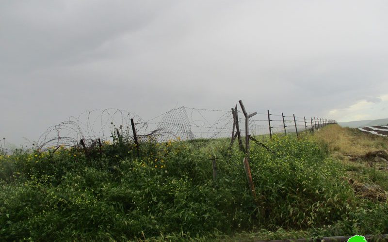 مستعمرون متطرفون يسيجون مئات الدونمات من الأراضي الرعوية في منطقة واد المالح/ محافظة طوباس