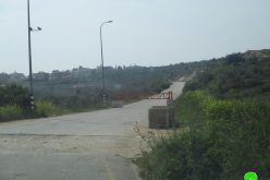 نصب بوابة حديدية جديدة على مدخل بلدة بروقين الغربي / محافظة سلفيت