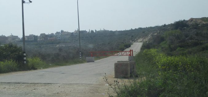 نصب بوابة حديدية جديدة على مدخل بلدة بروقين الغربي / محافظة سلفيت
