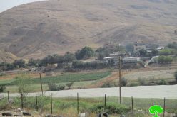 Halt o work order on an agricultural barracks east Atouf/ Tubas governorate