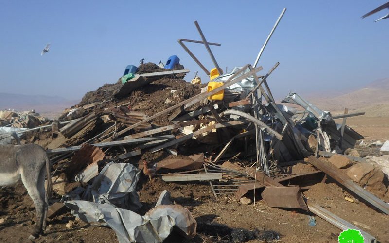 IOF demolish number of structures in the Jordan Valley area / Tubas governorate