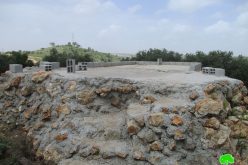 Halt of work orders on agricultural wells – Az-Zawiya/ Salfit governorate