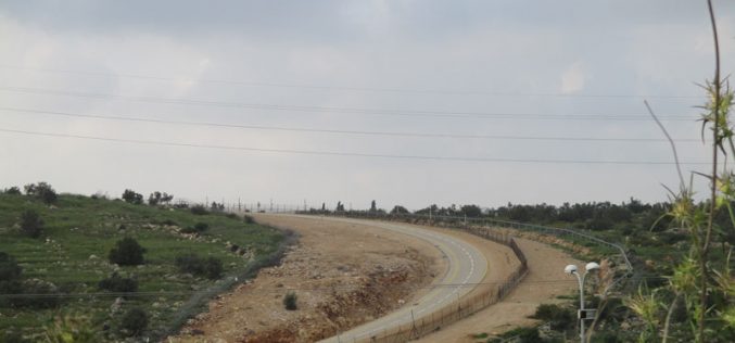 Extending the validity of a land grab in Budrus / Ramallah governorate