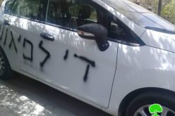 خط  شعارات تحريضية على عدد من المركبات والمساكن الفلسطينية في قرية مردا / محافظة سلفيت