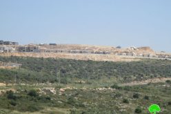 “Bruchin” settlement goes under expansion / Salfit governorate