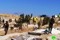 IOF Dismantle and Confiscate a Tent – Al-Mafqara Village East Yatta / Hebron Governorate