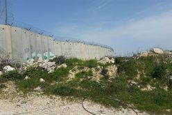 Monitoring Report on the Israeli Settlement Activities in the occupied State of Palestine – February 2019