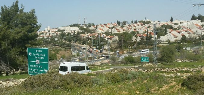 Monitoring Report on the Israeli Settlement Activities in the occupied State of Palestine – January 2019