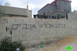 Illegal Settlers of “Barkan” Assault Palestinian Properties in Sarta / Salfit Governorate